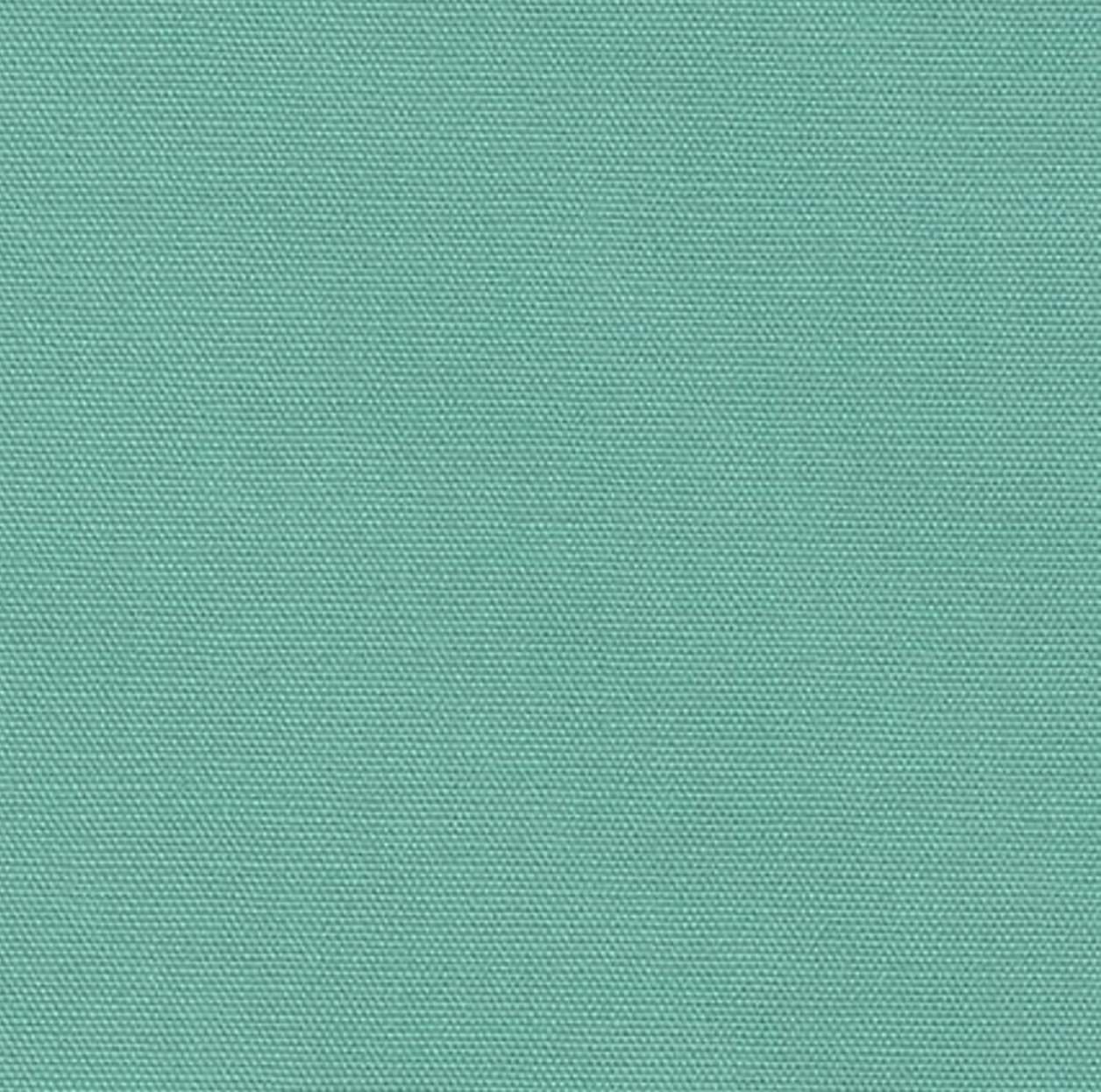 Robert Kaufman Big Sur Canvas - Mint Green