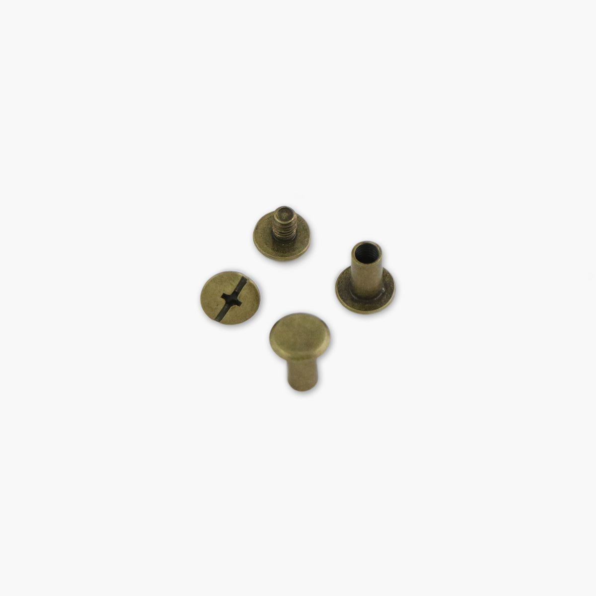 12 Large 10mm Chicago Screws