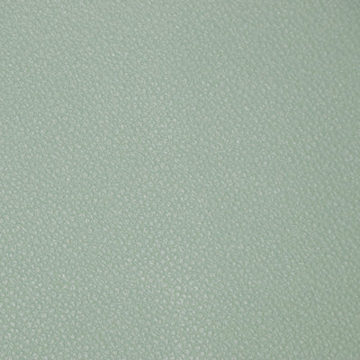 Packaged 1/2 Yard Cut: Eucalyptus Pebble Faux Leather