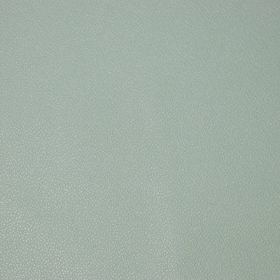 Packaged 1/2 Yard Cut: Eucalyptus Pebble Faux Leather