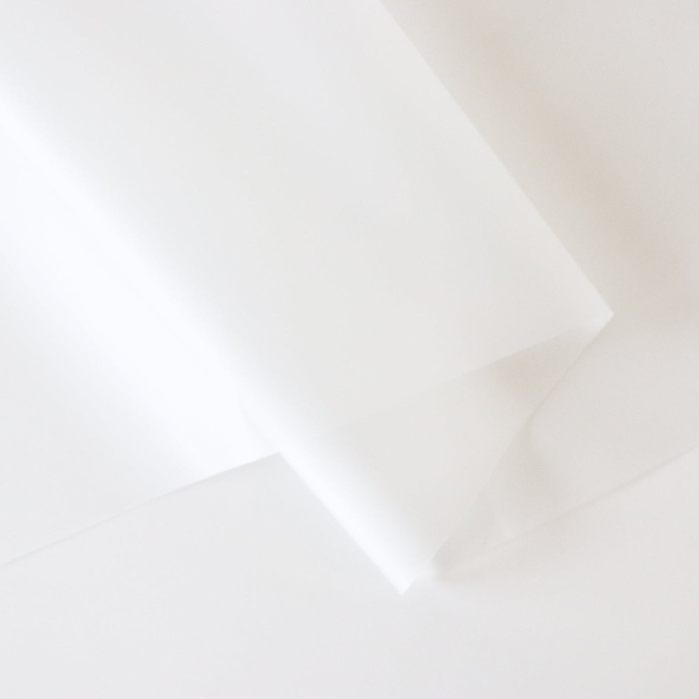 Frosted Translucent Vinyl – Sallie Tomato