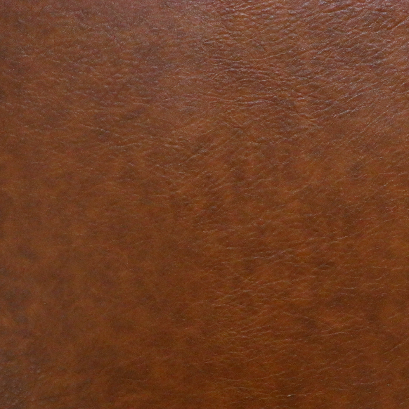 Packaged 1/2 Yard Cut: Hazelnut Legacy Faux Leather – Sallie Tomato