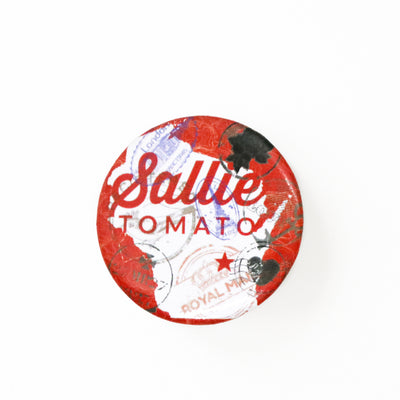 Around the World Series Travel Pins